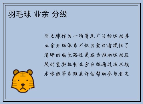 羽毛球 业余 分级