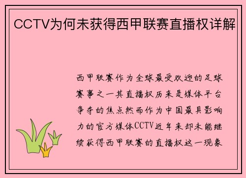 CCTV为何未获得西甲联赛直播权详解